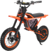 Electric Dirt Bike 48V 1000W for Adults and Teens