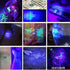 STEVVEX Rechargeable UV and LED Flashlight with Magnetic Base