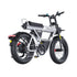 Coswheel CT20S 60V35AH 2000W 7-Speed Full-Suspension Electric Bike (SAK87104)