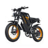 Coswheel GT20 48V 25Ah 1500W Fat Tire Electric Bike
