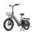 Coswheel HQ20 48V/20AH 1300W Electric All-Terrain Cargo Bike (SAK41597)